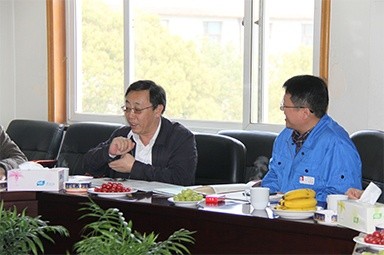 2013年3月18日，时任国家工信部节能司副司长杨铁生一行莅临公司参观指导