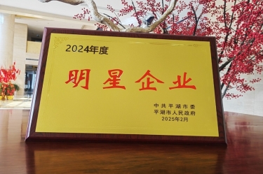 新春新景新气象 | 恒峰g22纸业在平湖三干大会上喜摘荣誉！